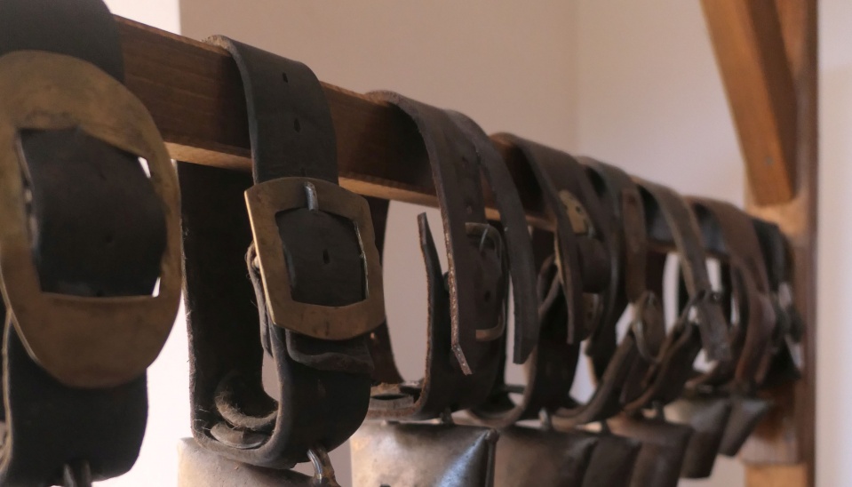 Obr. 1 Jelšavské zvonce vystavené v Mestkom múzeu v Jelšave, súčasťou zvonca bol aj jednoduchý alebo zdobený kožený remeň s kovovou prackou.