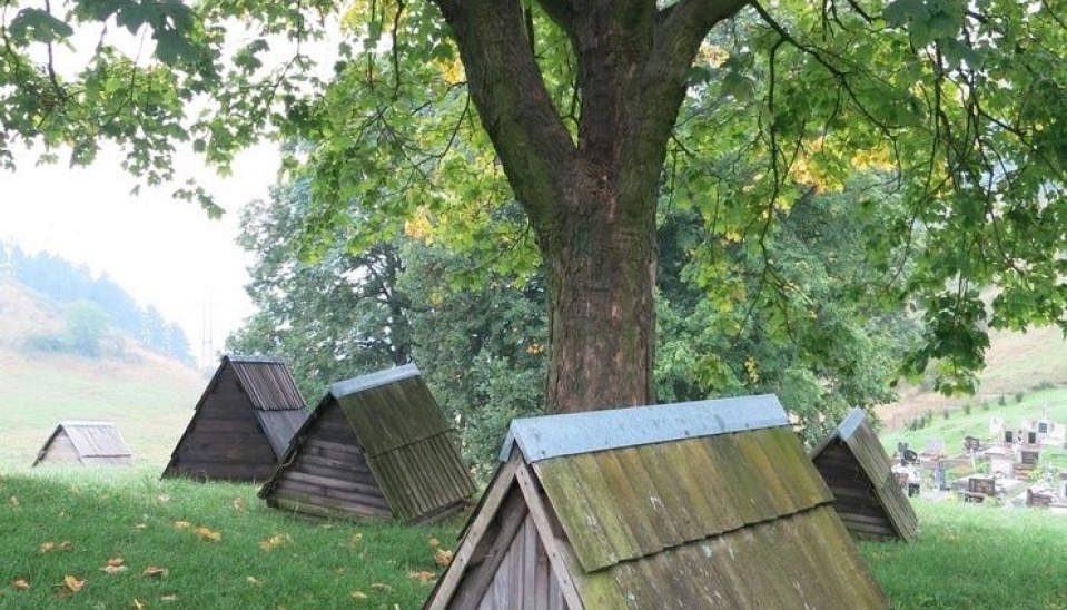 Pohľad na dašky od kostola, mnohé z nich sú ešte funkčné, foto: Tatiana Filipková