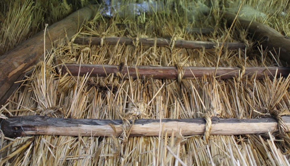 3. Priväzovanie otiepok slameným povrieslom. Hrušov