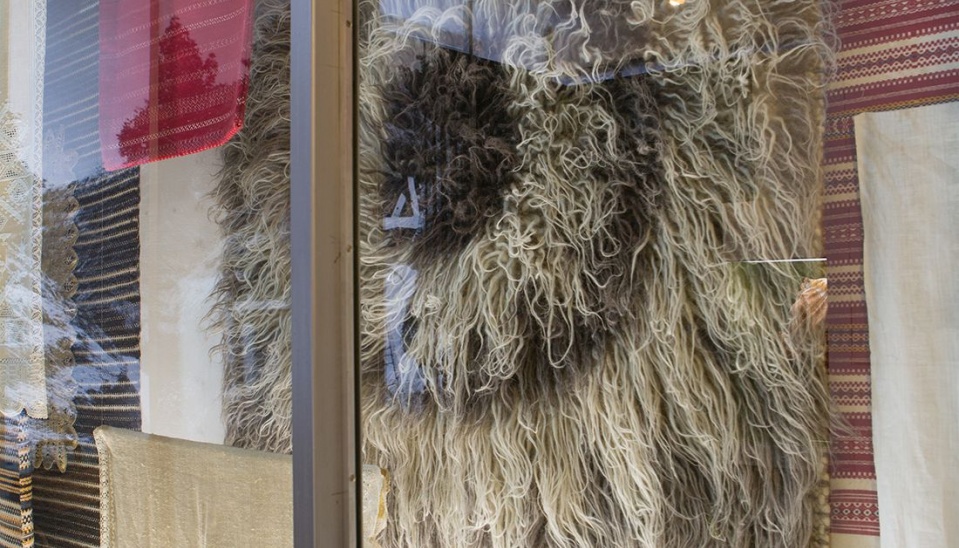 Guba vystavená v SNM v Martine