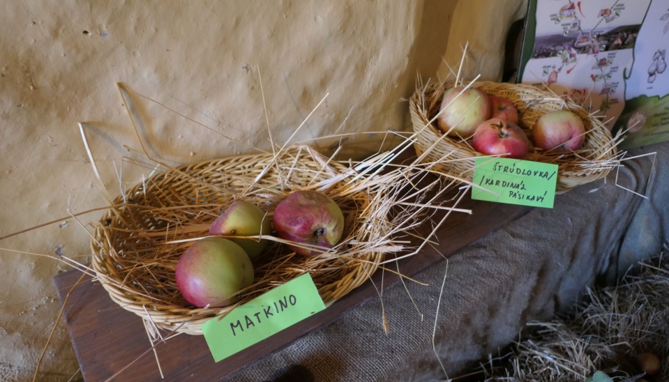 Stare odrody ovocia pestované na Hrušove, vystavené na festivale Hontianska paráda, 2018