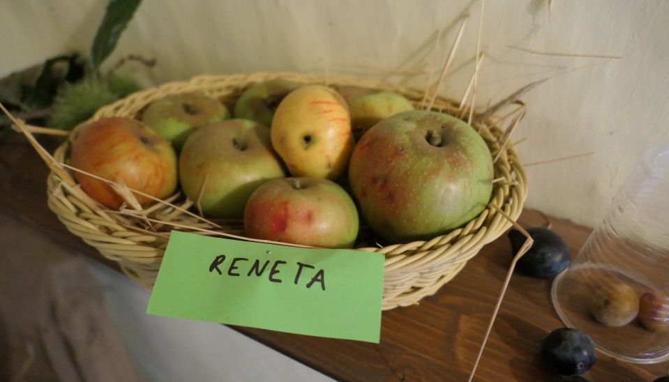 Stare odrody ovocia pestované na Hrušove, vystavené na festivale Hontianska paráda, 2018