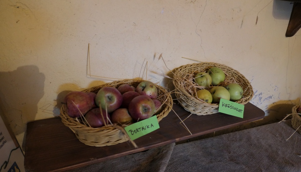 Stare odrody ovocia pestované na Hrušove, vystavené na festivale Hontianska paráda, 2018