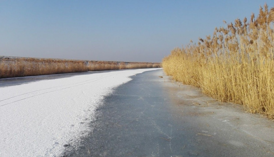 Trstina rastie pri brehoch pomaly tečucich vôd  (kanál – Asód-Čergov)