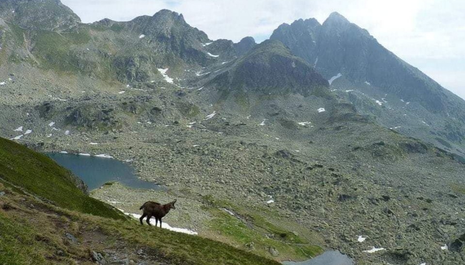 Vysoké Tatry, foto: Juraj Vencel