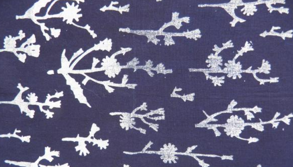 Čakanka - Zuzana Martinusová © Slovenské centrum dizajnu