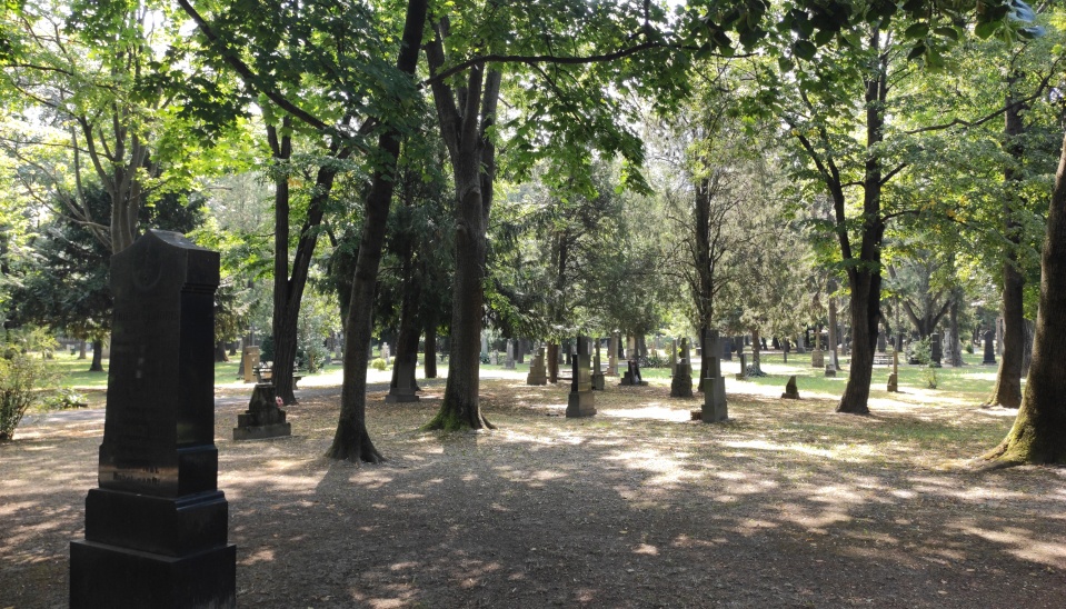 Obr. 1b) Ondrejský cintorín (Foto: Adam Tóth, 2020)