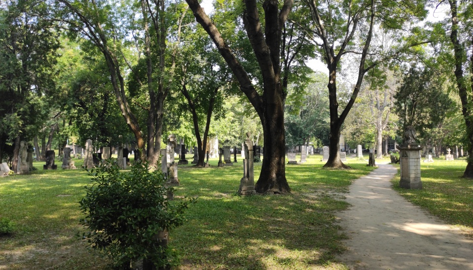 Obr. 1c) Ondrejský cintorín (Foto: Adam Tóth, 2020)