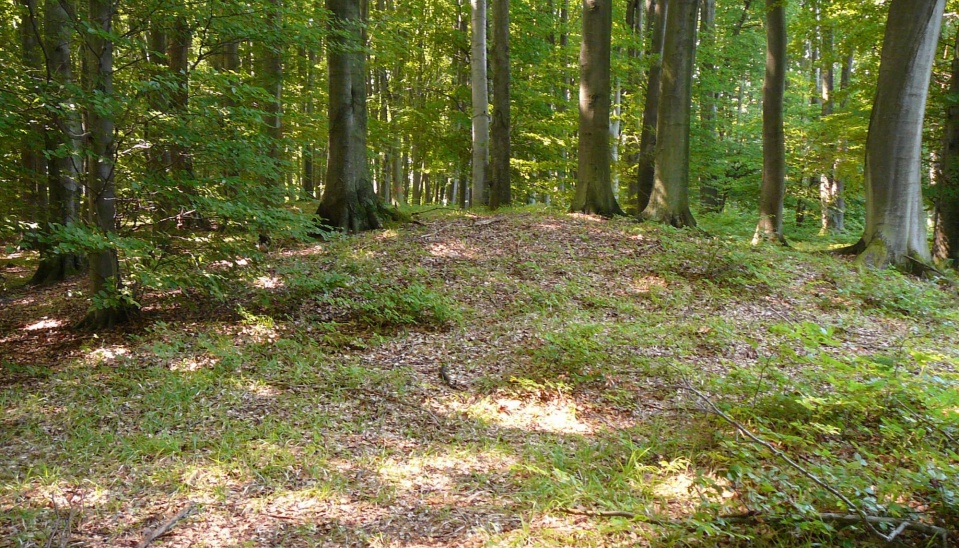 mohyla Na kaštieli, Brestov