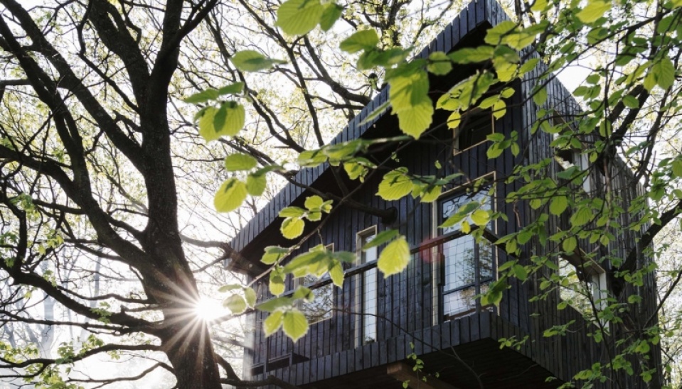 Pohľad na Dubodom, ktorý je zasadený v prostredí tradičnej vinohradníckej oblasti v Svätom Juri, foto: Dominik Sepp  