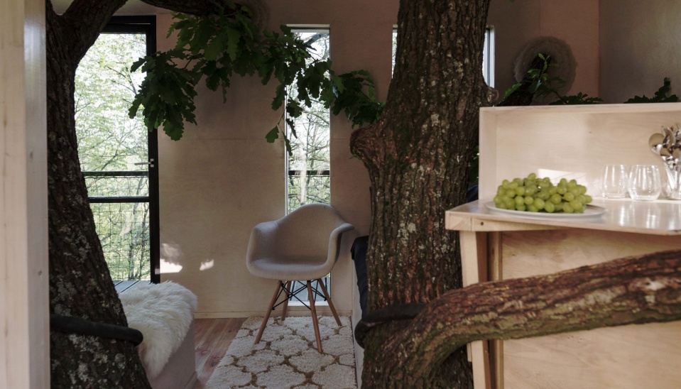 Interiér Dubodomu, kontakt s prírodou tu nadobúda doslovný význam, foto: Dominik Sepp 