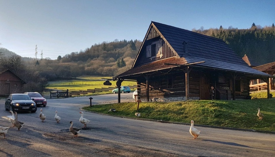 Súčasná fotografia príjazdu na Salaš Krajinka, foto: https://www.salaskrajinka.sk/