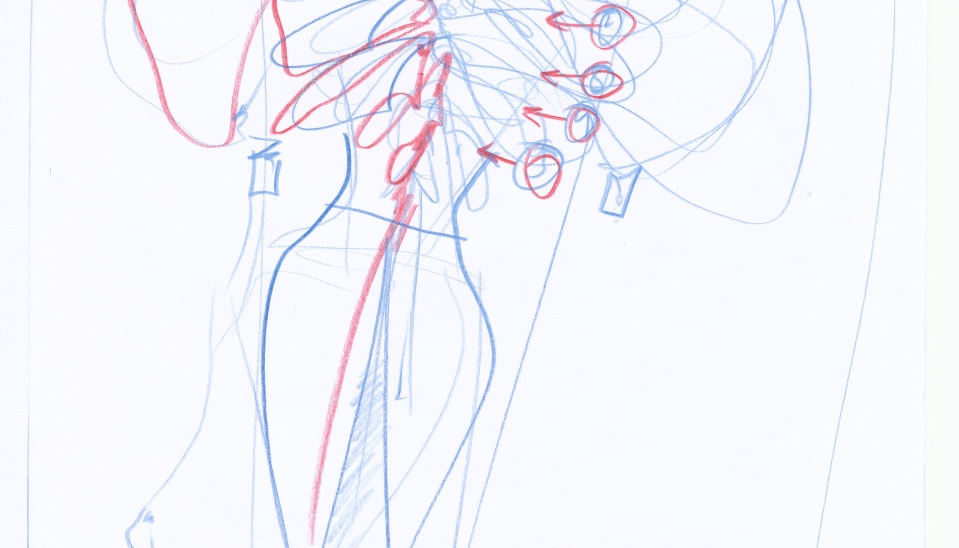 Návrh živôtika s plisovanými rukávcami