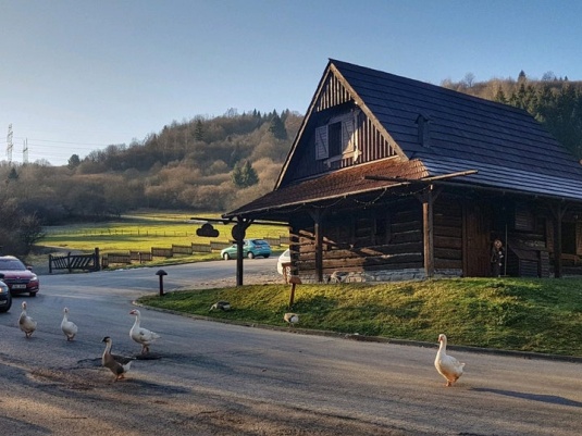 Súčasná fotografia príjazdu na Salaš Krajinka, foto: https://www.salaskrajinka.sk/